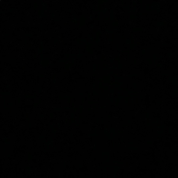 Meet your Posher, Loretta - Picture 1 of 1